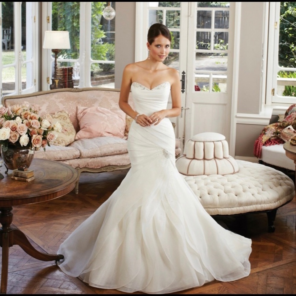 NEVER worn, brand NEW Sophia Tolli Wedding Gown